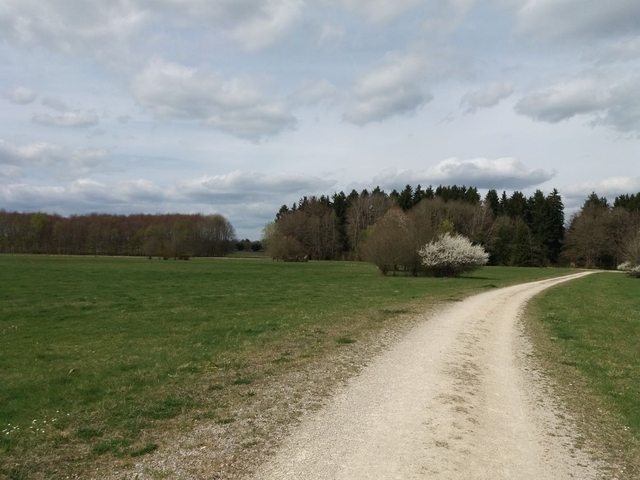 Im Frühjahr 2017 (6)